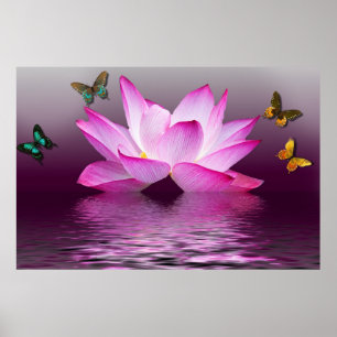 Poster Fleur de Lotus Rose d'été et papillons colorés