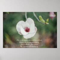 Fleur de Magnolia Japonaise Blanche avec Ancien Hy