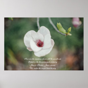 Poster Fleur de Magnolia japonaise blanche avec un vieux 