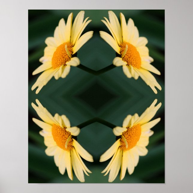 Poster Fleur de marguerite jaune fermer miroir Abstrait (Devant)
