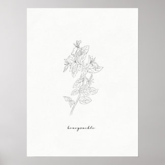 Poster Fleur de naissance Honeysuckie Print
