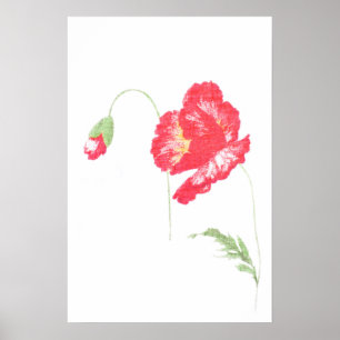 Poster Fleur de pavot sauvage