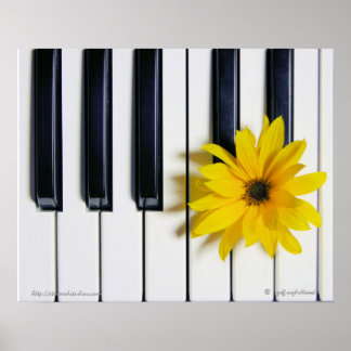 Poster Fleur de piano