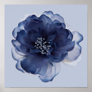 POSTER FLEUR DE PIVOINE BLEUE  