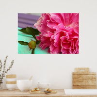 Fleur de pivoine rose simple et élégant
