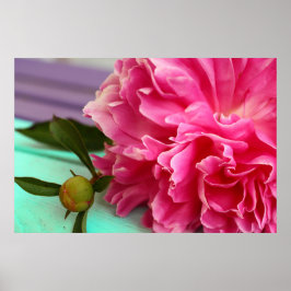 Poster Fleur de pivoine rose simple et élégant