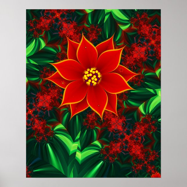 Poster Fleur de Poinsettia (Devant)