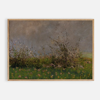 Poster Fleur de prairie, vintage d'huile