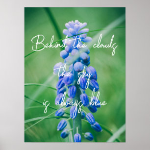 Poster Fleur de printemps (Hyacinthe de raisin)