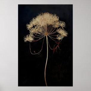 Poster Fleur de Queue de Renard Séchée Dark Academia, Som