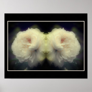 Poster Fleur de rose blanche dans le miroir de fleurs Abs