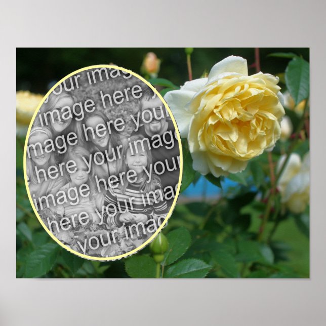 Poster Fleur de rose jaune Créez votre propre photo (Devant)