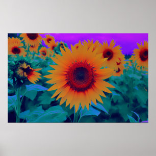 Poster Fleur de soleil d'automne orange, vert et violet
