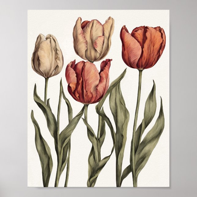 Poster Fleur de tulipe (Devant)