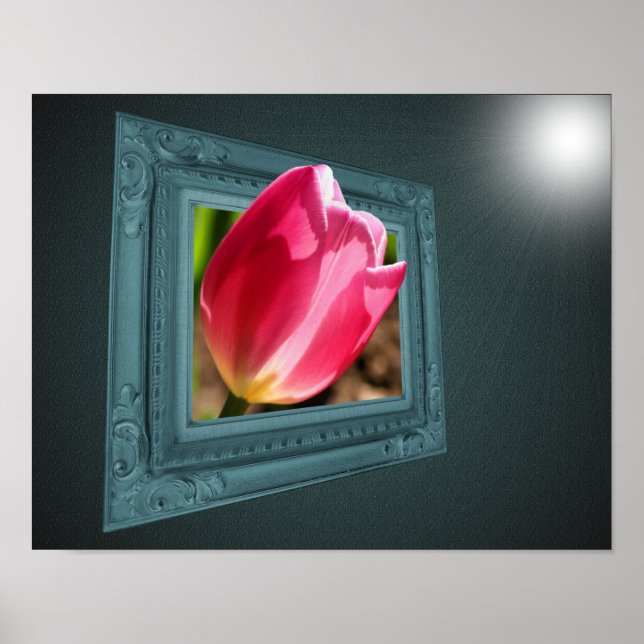 Poster Fleur De Tulipe Rose Sortie Du Cadre (Devant)
