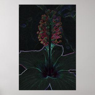 Poster fleur de velours