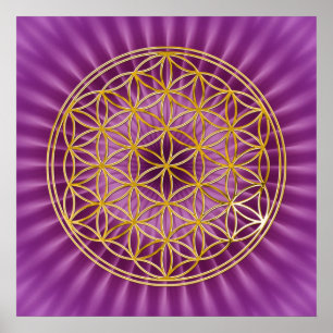 Poster Fleur De Vie   or, brillance magenta