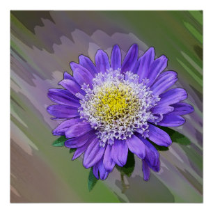 Poster fleur de violet bleu