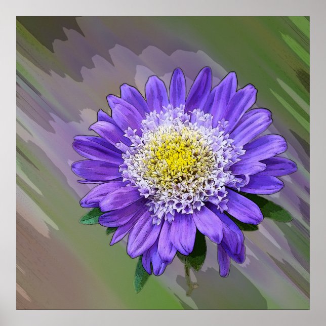 Poster fleur de violet bleu (Devant)