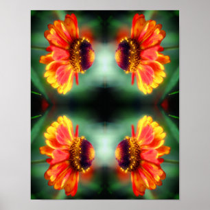 Poster Fleur de Zinnia Rêveuse Art Abstrait 