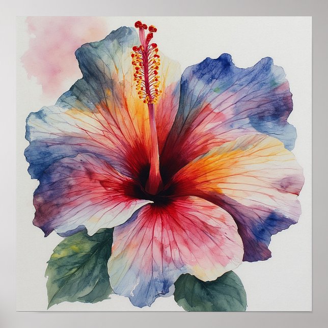 Poster Fleur d'Hibiscus (Devant)