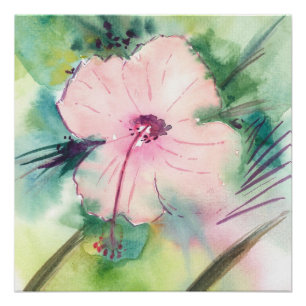 Poster Fleur d'Hibiscus Bélizien à l'aquarelle peinte à l
