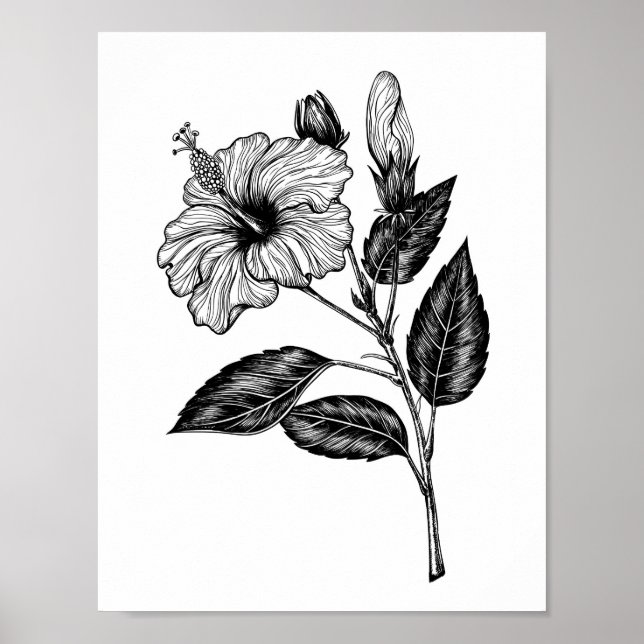 Poster Fleur d'Hibiscus III (Devant)