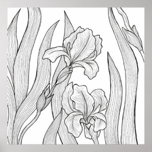 Poster Fleur d'Iris conçue à l'encre noire