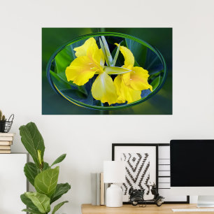 Poster fleur d'Iris jaune