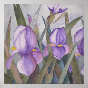 Poster Fleur d'iris pourpre