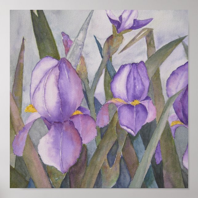 Poster Fleur d'iris pourpre (Devant)