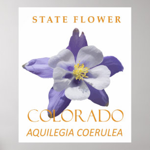 Poster Fleur du territoire du Colorado Aquilegia coerulea
