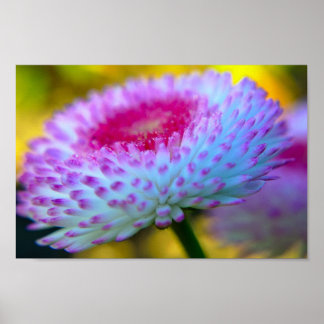 Poster Fleur en fleur
