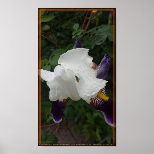 Poster Fleur épique 1 (Devant)