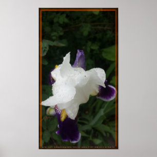 Poster Fleur épique 2