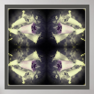 Poster Fleur Foxglove Rose Noir Et Blanc Abstrait