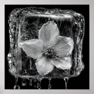 Poster Fleur gelée fondant la glace