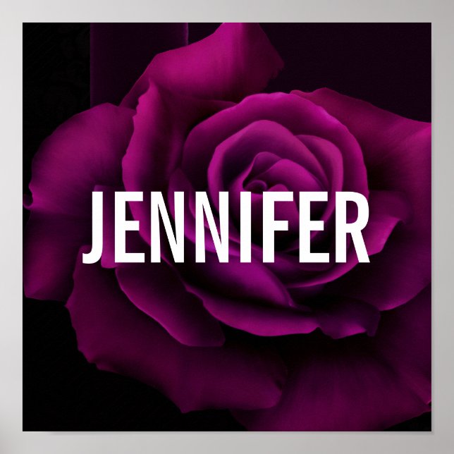 Poster Fleur gothique de rose violet-rouge (Devant)