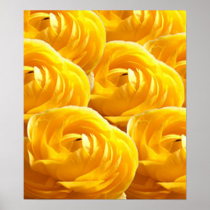 Poster Fleur-Impressions I