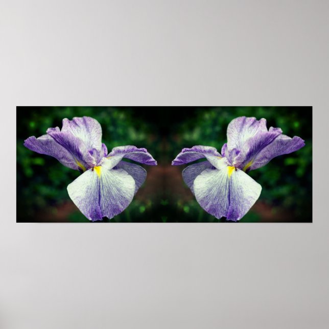 Poster Fleur japonaise Iris dépliant miroir Abstrait (Devant)