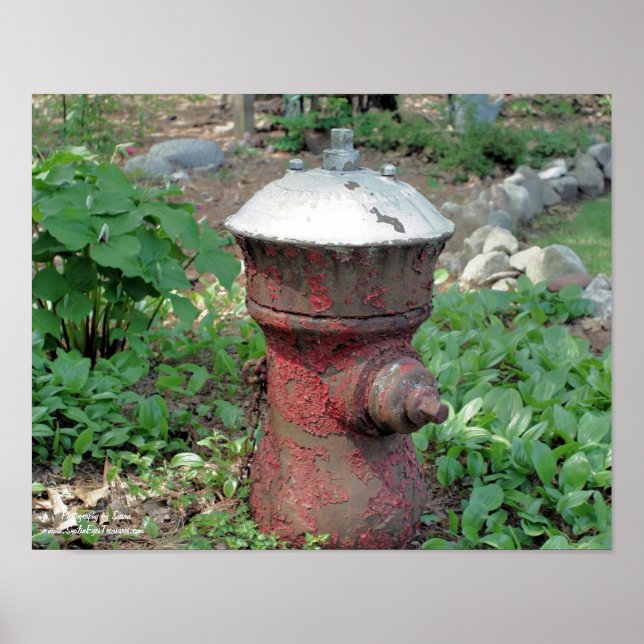 Poster Fleur Jardin Rusty Fire Hydrate (Devant)