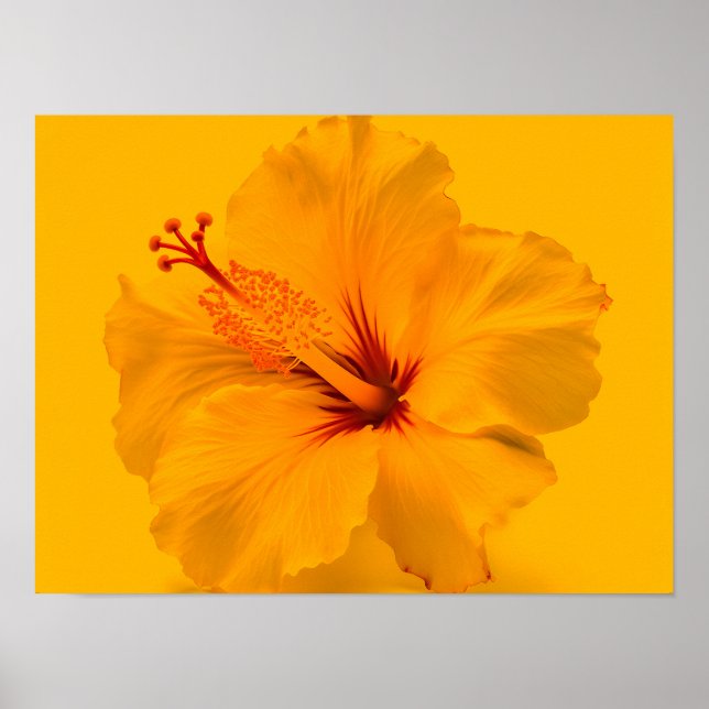 Poster Fleur jaune (Devant)