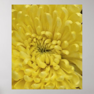 Poster Fleur jaune