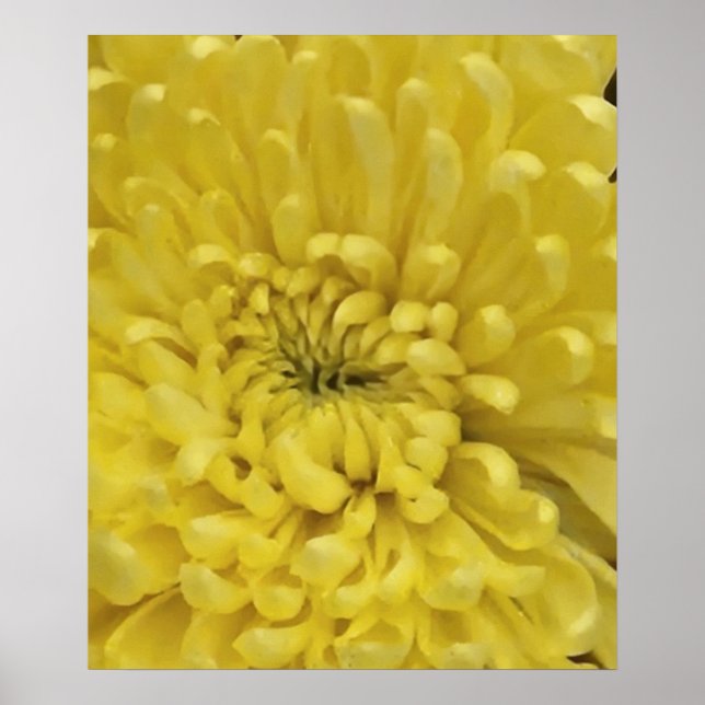 Poster Fleur jaune (Devant)