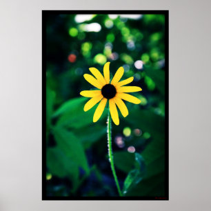 Poster Fleur Jaune #5033
