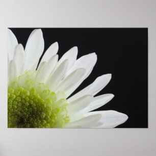 Poster Fleur marguerite en noir