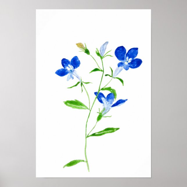 Poster fleur Marie aux yeux bleus (Devant)