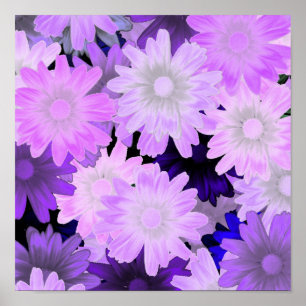 Poster Fleur mauve
