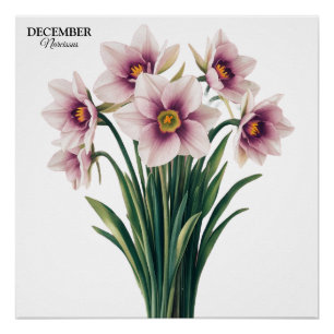 Poster Fleur Narcisse personnalisée - Décembre Cadeau