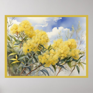 Poster Fleur nationale Australie Golden Wattle  